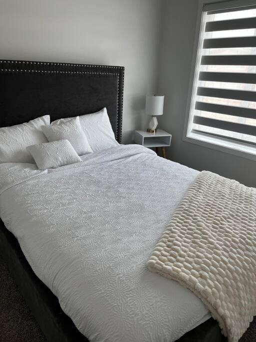 Brand New - Home Away From Home In Nw YYC Eksteriør billede